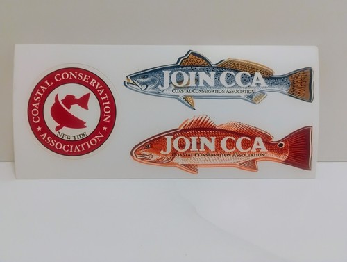 Coastal conservation - coastal,