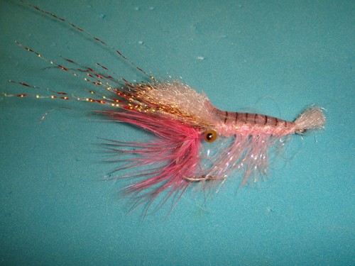 Fly fishing flies - fly,