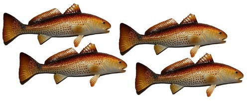 Redfish magnets realistic - redfish,