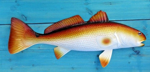 Redfish hand painted - redfish,