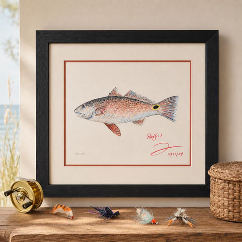 Redfish art print - art,