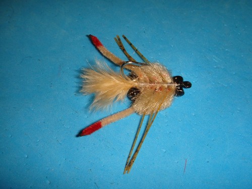 Fly fishing flies - fishing,