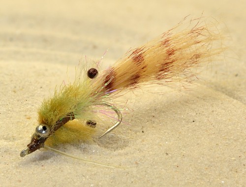 Flies redfish crack shrimp - crack,