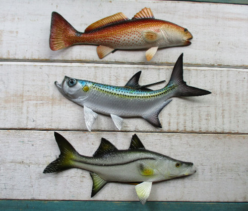 Tarpon redfish snook - tarpon,